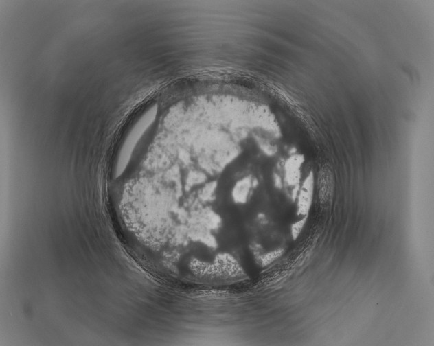 X0000111910637200909071157