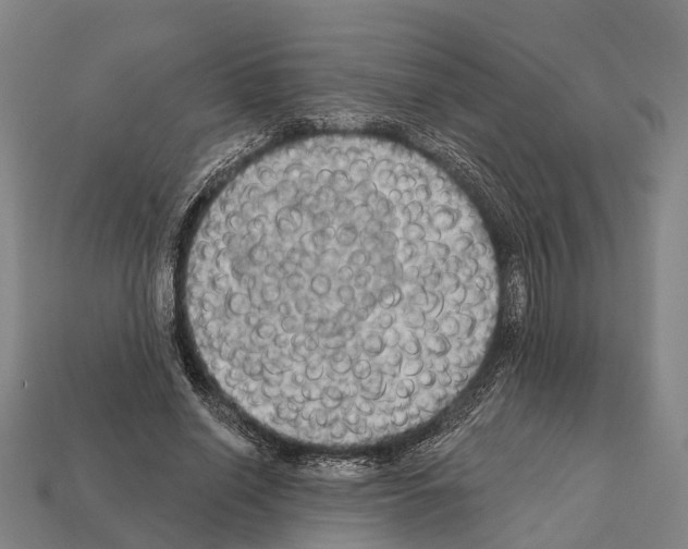 X0000111910638200909071157