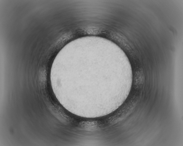X0000111910639200909071157