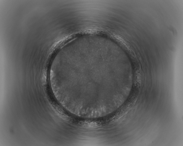 X0000111910640200909071157