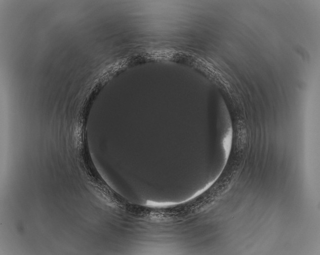 X0000111910641200909071157