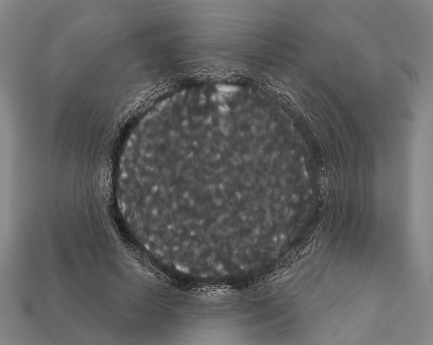 X0000111910642200909071157