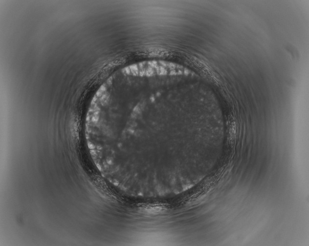 X0000111910643200909071157