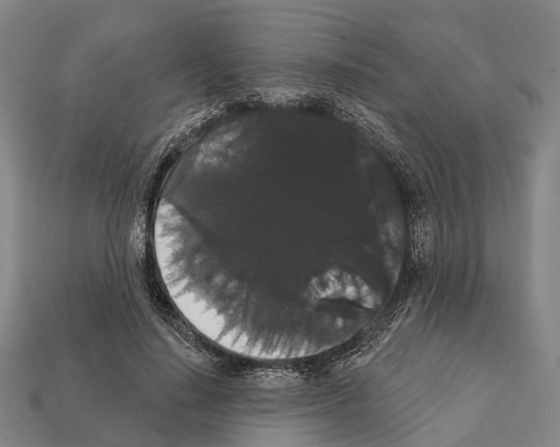 X0000111910644200909071157