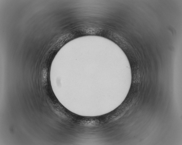 X0000111910646200909071157