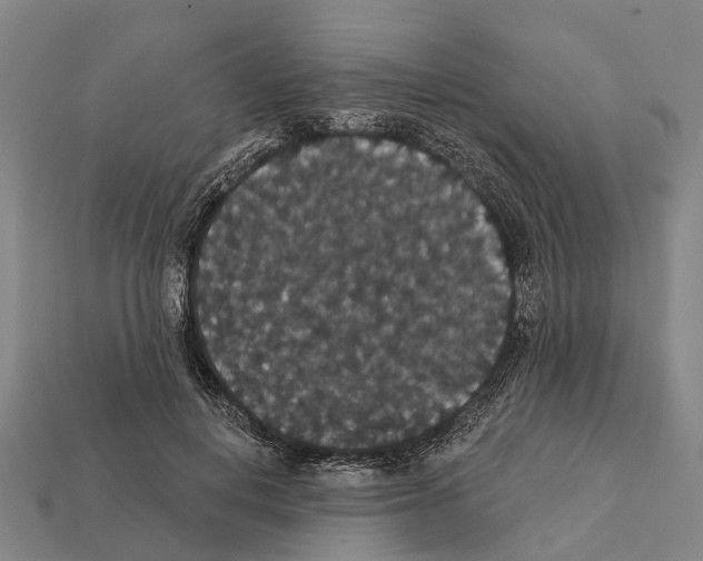 X0000111910648200909071157