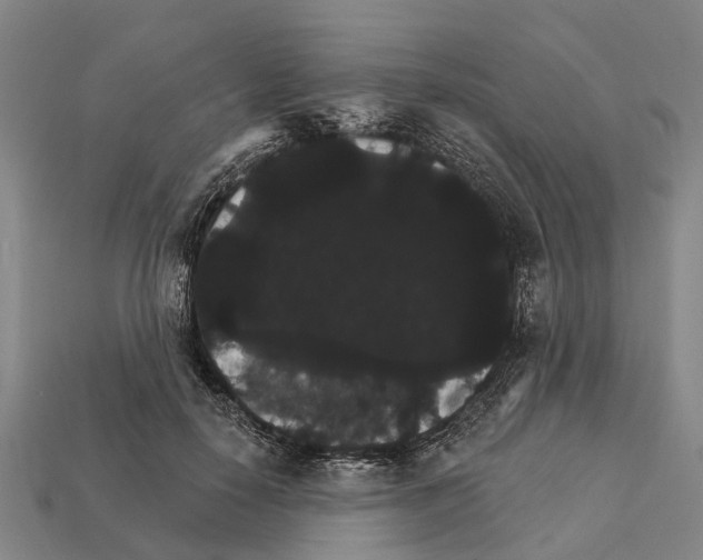 X0000111910650200909071157