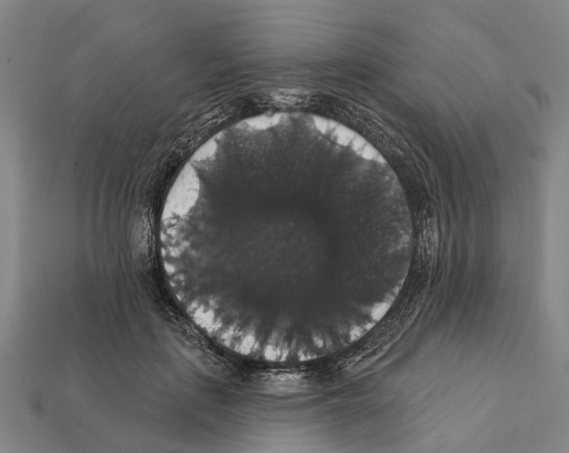 X0000111910651200909071157