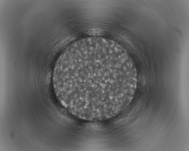 X0000111910652200909071157