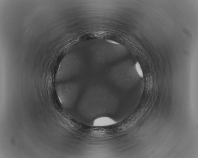 X0000111910653200909071157