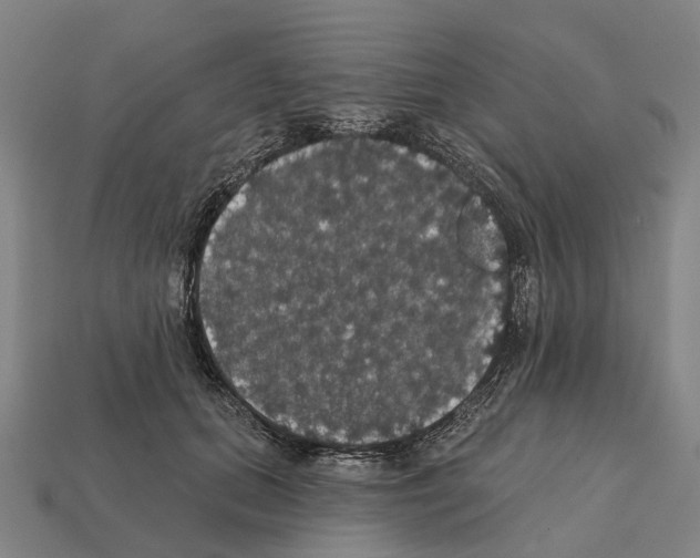 X0000111910655200909071157