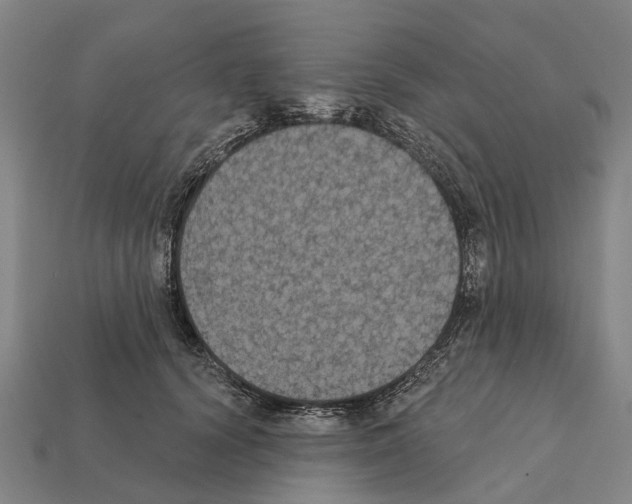 X0000111910656200909071157