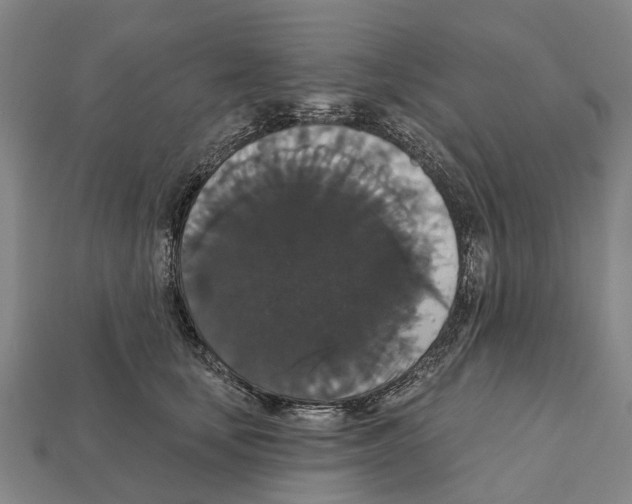 X0000111910659200909071157