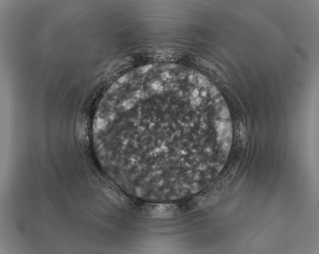 X0000111910663200909071157
