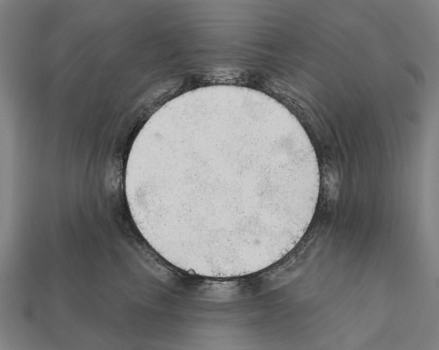 X0000111910665200909071158