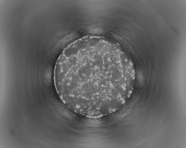 X0000111910668200909071158