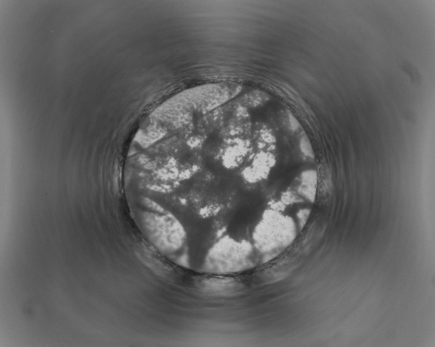 X0000111910669200909071158