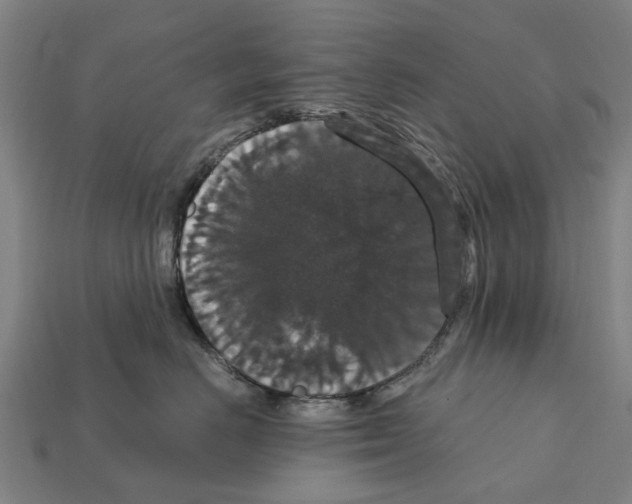 X0000111910670200909071158