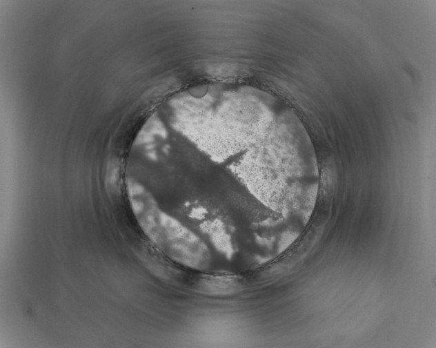 X0000111910671200909071158