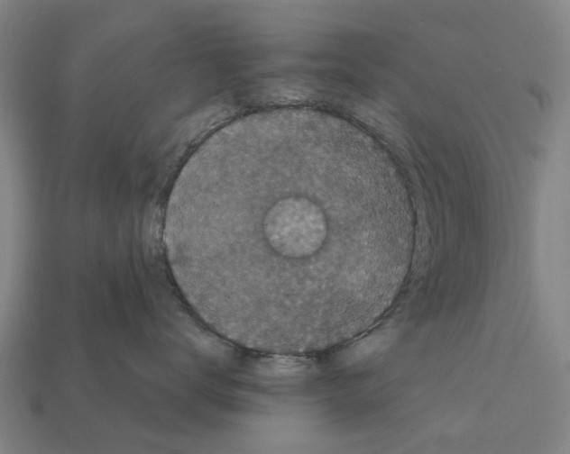 X0000111910672200909071158