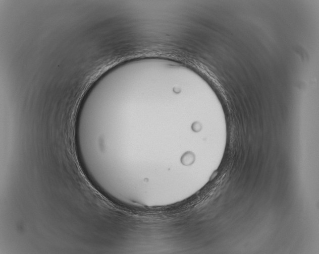 X0000111910673200909071157