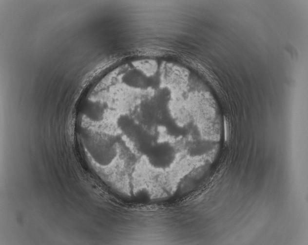 X0000111910675200909071157