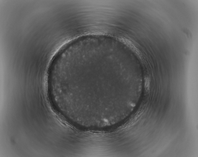 X0000111910676200909071157