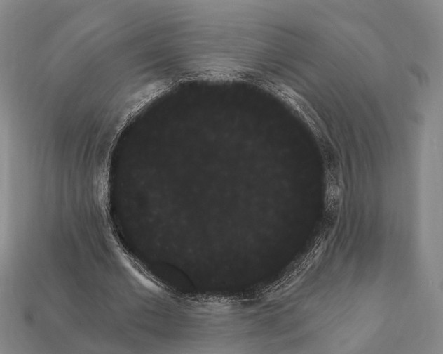 X0000111910677200909071157