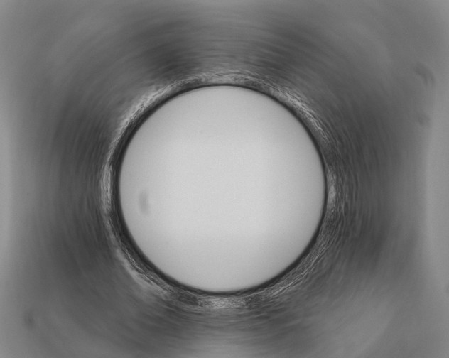 X0000111910678200909071157