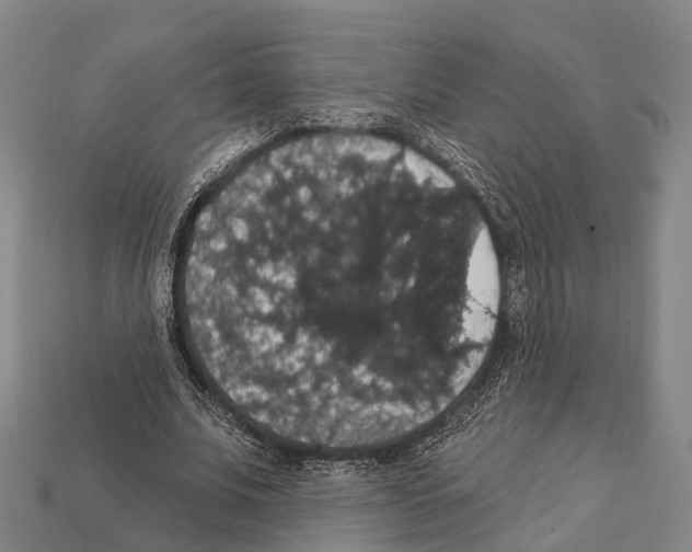 X0000111910679200909071157