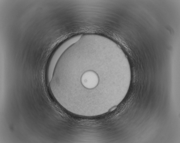 X0000111910681200909071157
