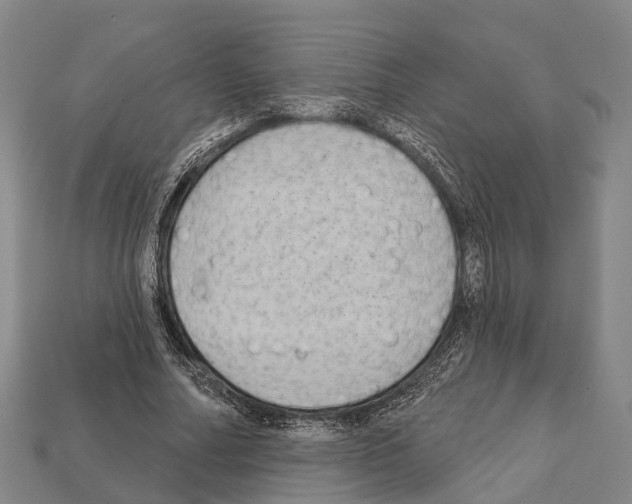 X0000111910682200909071157