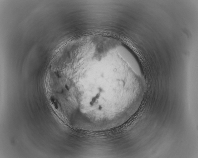 X0000111910683200909071157