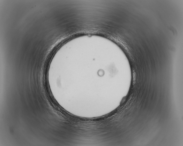 X0000111910684200909071157