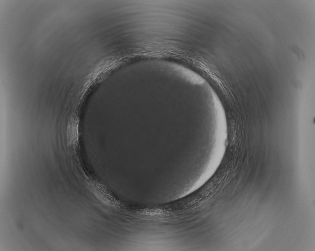 X0000111910685200909071157