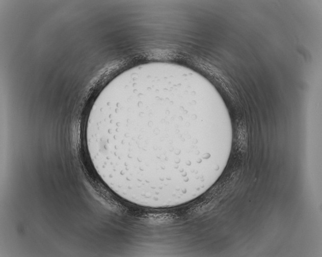 X0000111910686200909071157