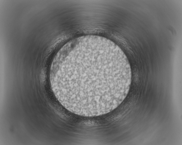 X0000111910687200909071157