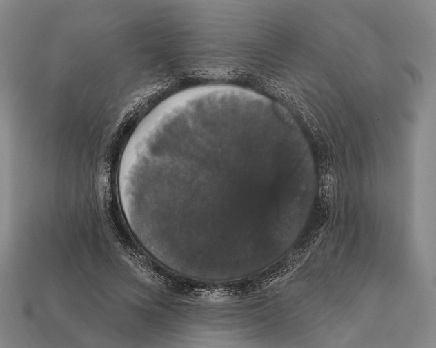 X0000111910688200909071157