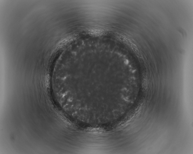 X0000111910689200909071157