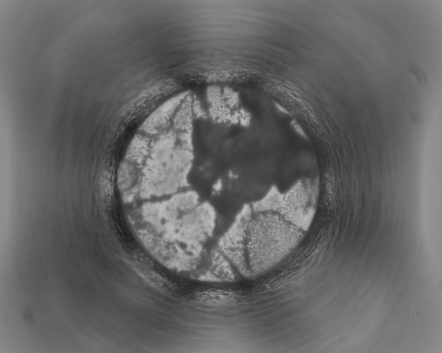 X0000111910691200909071157