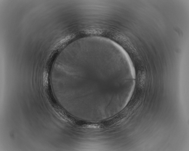 X0000111910692200909071157