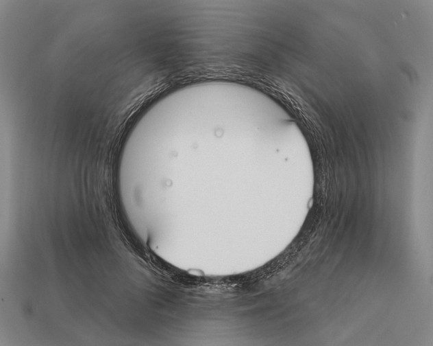 X0000111910696200909071157