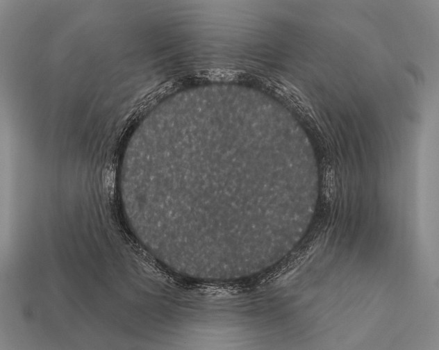 X0000111910697200909071157