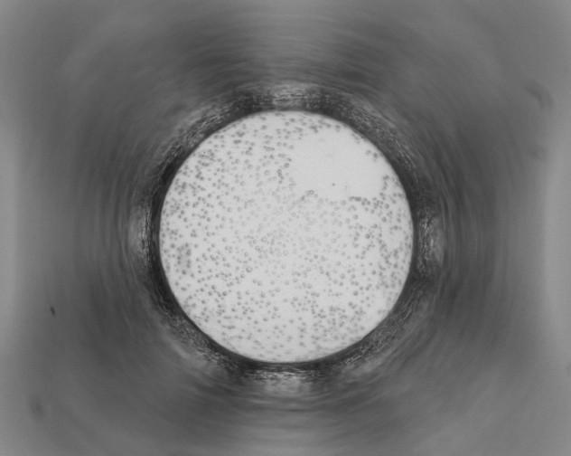 X0000111910698200909071157