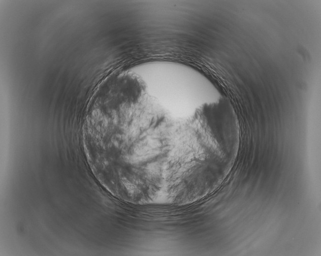 X0000111910699200909071156