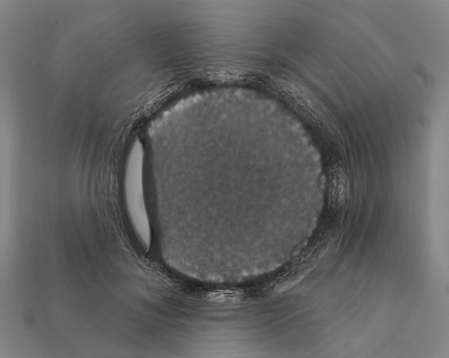 X0000111910700200909071156