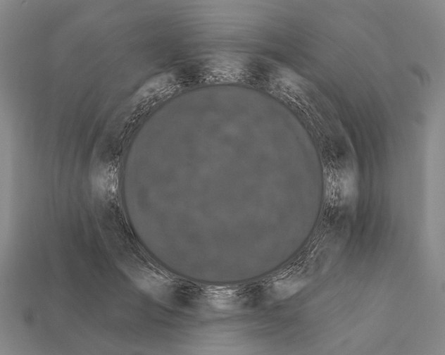 X0000111910701200909071156