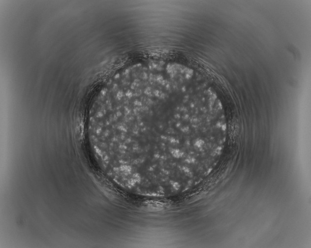 X0000111910703200909071156