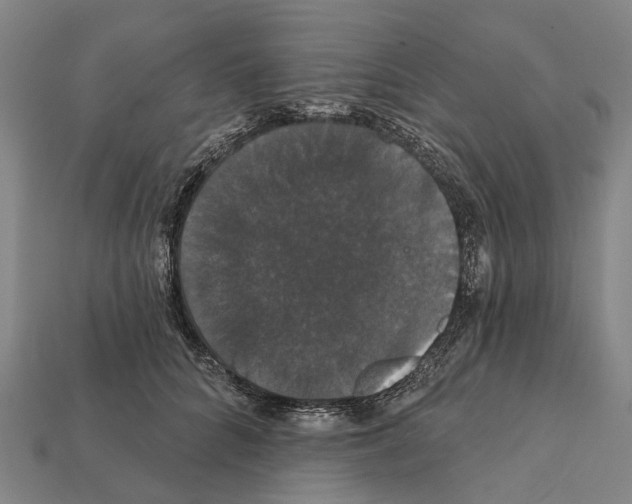 X0000111910704200909071156