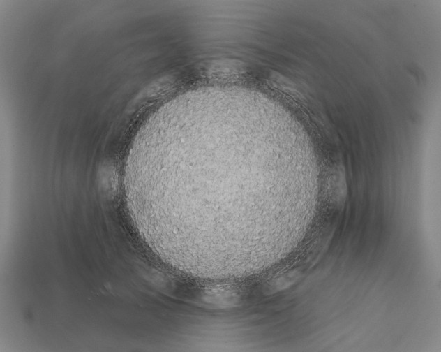 X0000111910705200909071156
